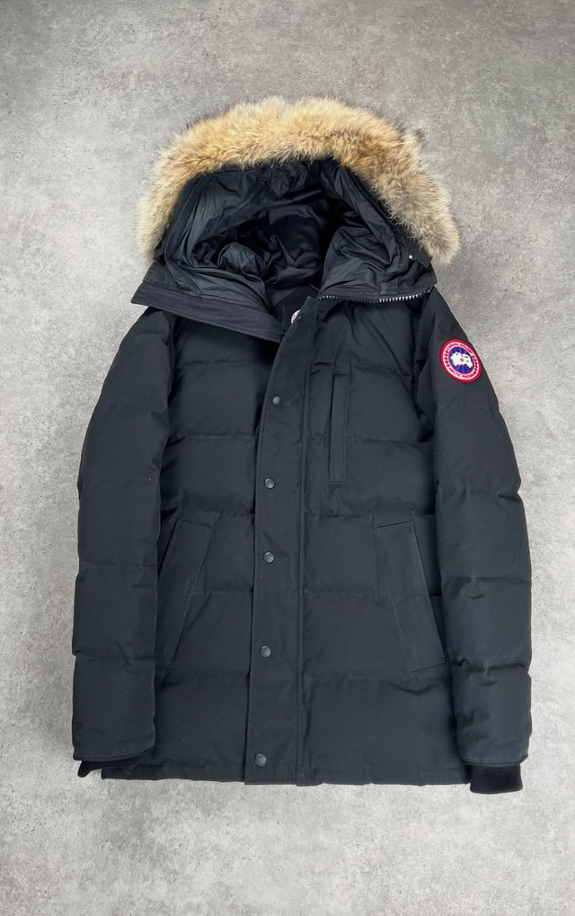 Winter Jackets